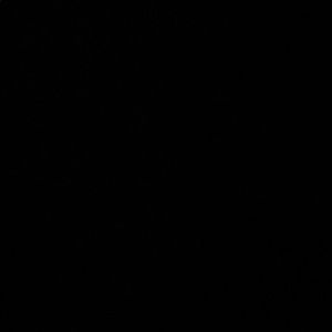 Meet your Posher, Carl